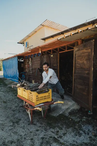 Çocuk şömine için odun yüklüyor.. 