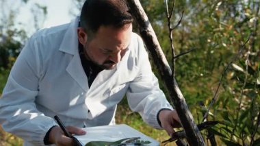 Doğadaki Bitkileri Analiz Eden Bitkiler. 