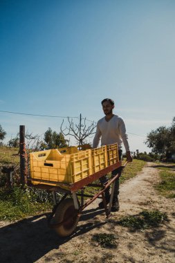 # Tahta dolu el arabasını taşırken #. 