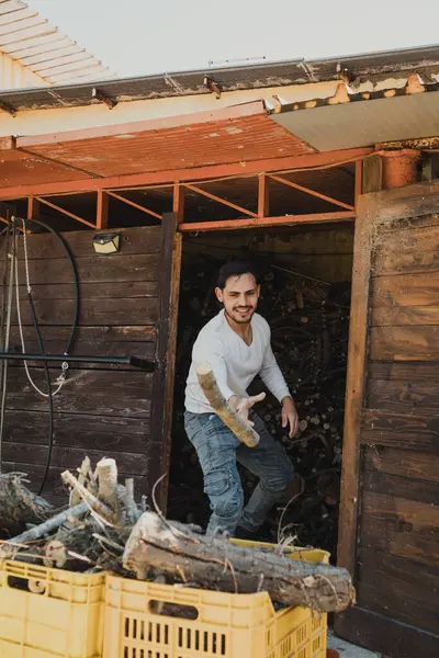 Çocuk kutulara odun yerleştiriyor..