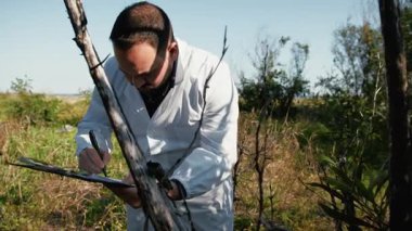 Doğadaki Bitkileri Analiz Eden Bitkiler. 