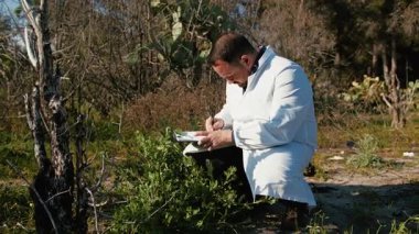 Doğadaki Bitkileri Analiz Eden Bitkiler. 