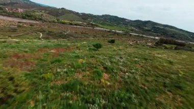 Tepedeki Yeşil Çimen, Hava Görünümü. 