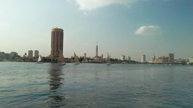 Beyaz balinalar Nil Nehri 'nde yelken açıyor..