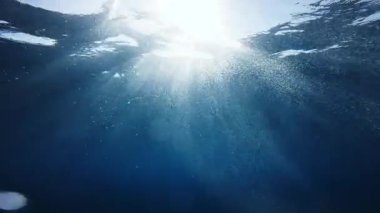 Okyanusun altından görülebilen göksel güneş ışığı. Yüksek kalite 4k görüntü