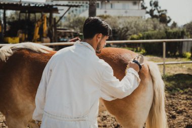 Veteriner işini bir çiftlikte yapıyor..