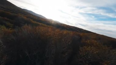 Doğada Sonbahar Manzarası 