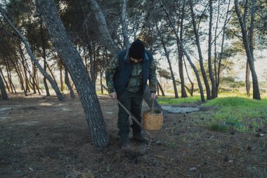 Yerdeki mantarları saptamak için çubuk kullanan bir adam. . 