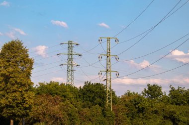 Yüksek voltaj direkleri yapraklı ağaçlar üzerinden elektrik akımı iletir..