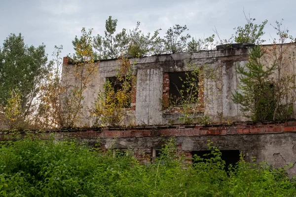 Abandoned Old Building Overgrown Bushes Trees — Stock Photo, Image
