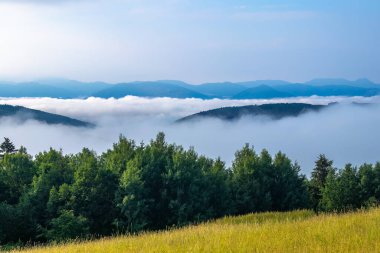 Önünde ağaçlar ve çayırlar olan yaz manzarası. Arka planda dağlar ve vadilerinde sis var..