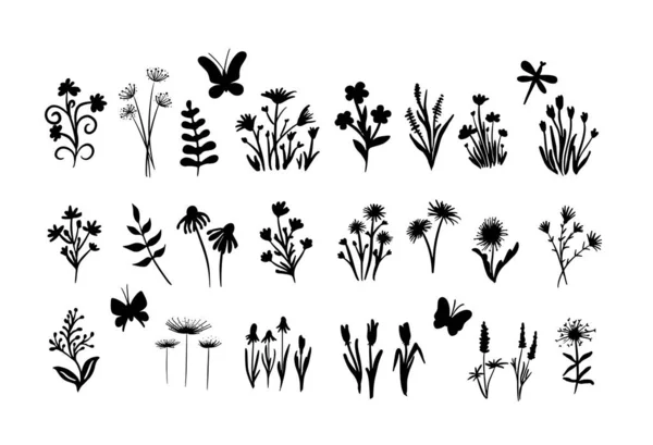 Dibujo Dibujado Mano Flores Insectos Siluetas Negras Hierbas Flores Hierbas — Archivo Imágenes Vectoriales