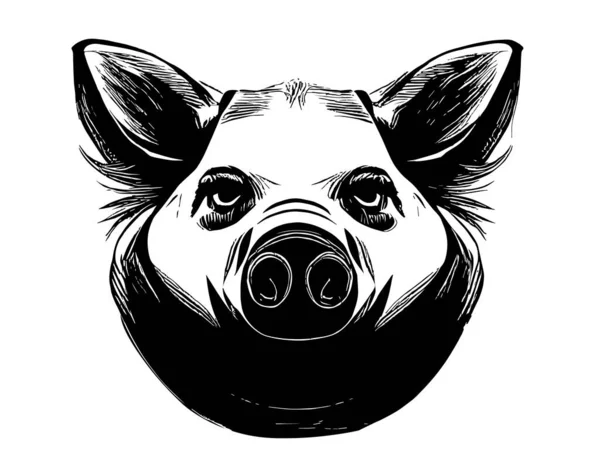 배경에 돼지의 주둥이를 스케치 Farming Livestock Vector Illustration — 스톡 벡터