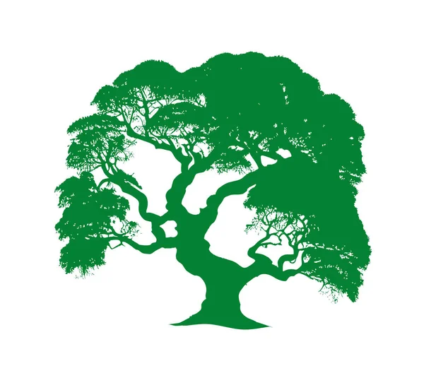 木のシルエット緑のスケッチ 生態学のエンブレム — ストックベクタ