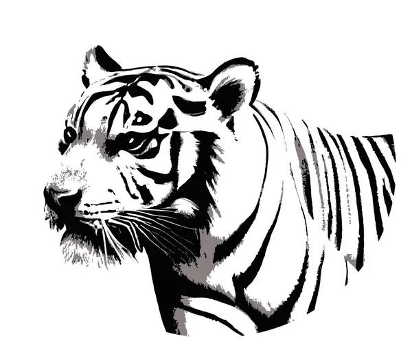Bosquejo Retrato Tigre Símbolo Coraje Año Nuevo Ilustración Vectorial — Vector de stock