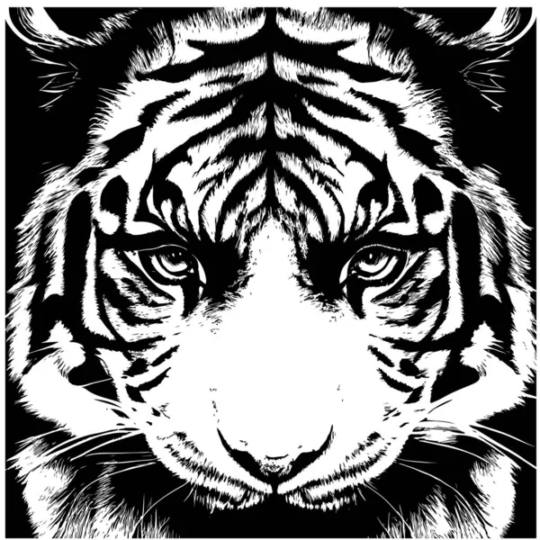 Tiger Schwarz Weiß Portrait Minimalismus Symbol Des Neuen Jahres Vector — Stockvektor