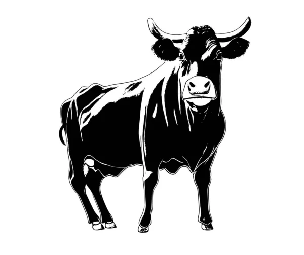 Sylwetka Krowy Trzy Czwarte Widok Czarny Biały Ręcznie Rysowane Szkice — Wektor stockowy