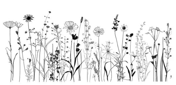 Flores Silvestres Hierba Dibujado Mano Sketch Doodle Style Vector Ilustración — Vector de stock