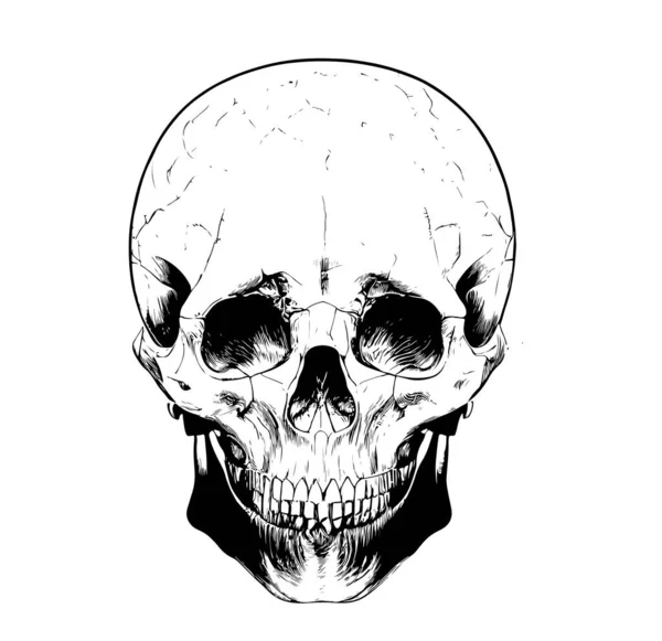 Skull Humano Dibujado Mano Sketch Vector Ilustración — Vector de stock
