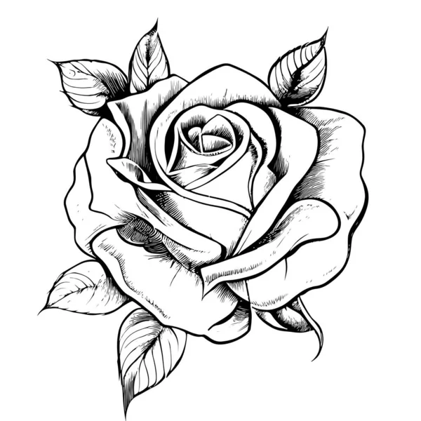美しいバラの花の手がスケッチを描きました — ストックベクタ