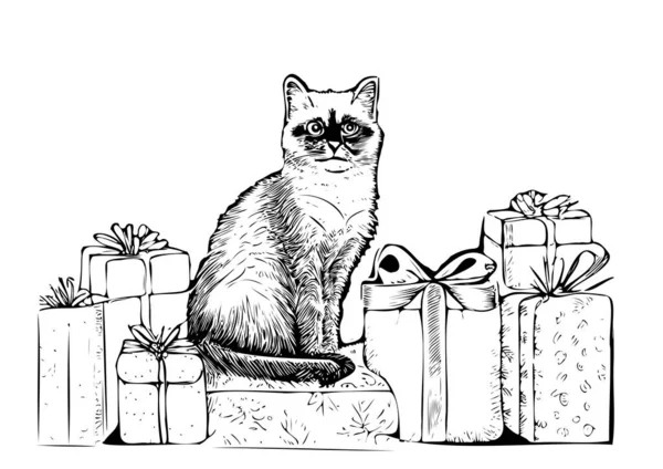 Cat Κάθεται Δώρα Σκίτσο Χέρι Που Νέο Έτος Και Χριστούγεννα — Διανυσματικό Αρχείο