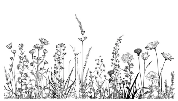 Belles Fleurs Sauvages Dans Champ Croquis Dessiné Main Illustration Vectorielle — Image vectorielle
