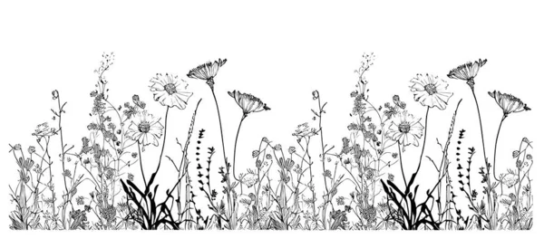 Tarla Sınır Çiziminde Yabani Çiçekler Vektör Illüstrasyonu Çizdi — Stok Vektör