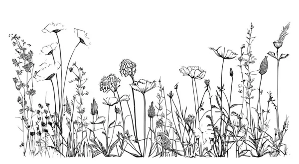 Άγρια Λουλούδια Στο Χέρι Πεδίο Σχέδιο Σκίτσο Διάνυσμα Εικονογράφηση — Διανυσματικό Αρχείο