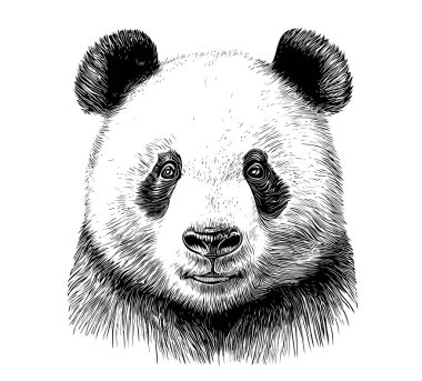 Şirin panda portresi çizimi elle oyma stili Vektör illüstrasyonu.