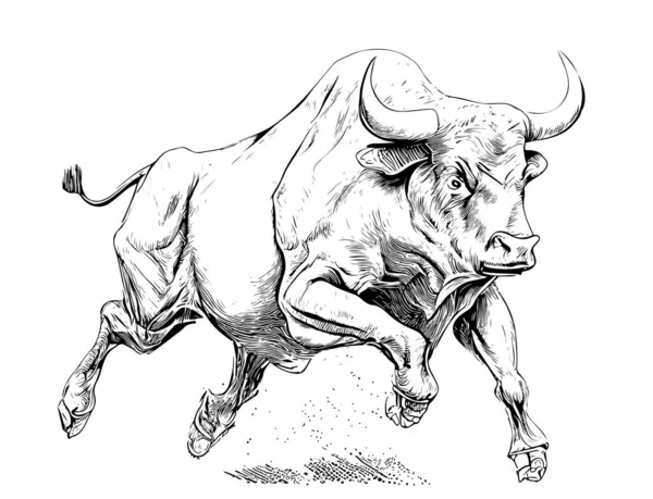 怒りの雄牛のランニングビデオスケッチ手描き彫刻スタイルベクトルイラスト — ストックベクタ
