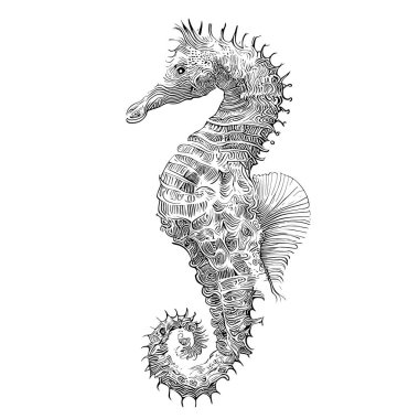 Deniz atı taslak el çizimi gravür stili Su altı hayvanları vektör illüstrasyonu.