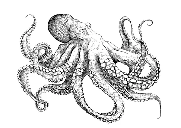 Octopus Esboço Mão Desenhado Gravura Estilo Animais Subaquáticos Vetor Ilustração — Vetor de Stock