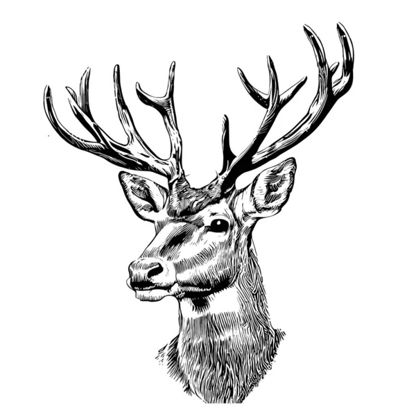 鹿の肖像画のスケッチ手描き彫刻スタイルベクトルイラスト — ストックベクタ