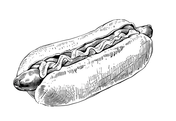 Delicious Hot Dog Sketch Hand Drawn Engraving Style Vector Illustration — Stock Vector
