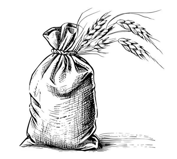 Tahıl Torbası Çizimi Taslak Vektör Illüstrasyonu — Stok Vektör