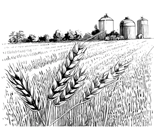 Bauernhof Weizenfeld Landschaft Handgezeichnete Skizze Vektor Illustration — Stockvektor