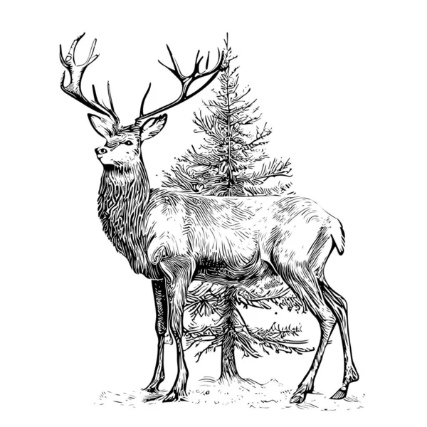 クリスマスツリースケッチの背景にあるクリスマス鹿手描きベクトルイラスト — ストックベクタ