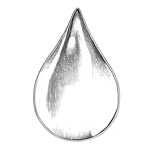 Water Drop Sketch Hand Drawn Vector Illustration — Stock Vector