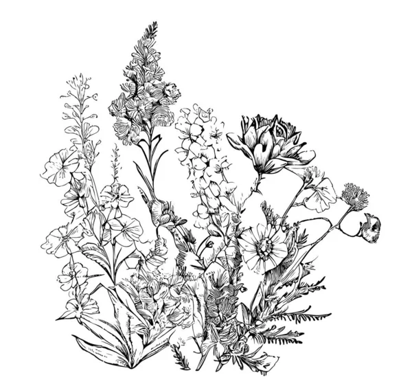 Bloemenveld Provence Schets Met Hand Getekend Planten Vector Illustratie — Stockvector