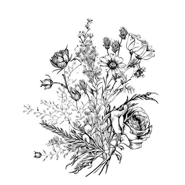 Provence Çiçekleri Çizimi Vektör Illüstrasyonu — Stok Vektör