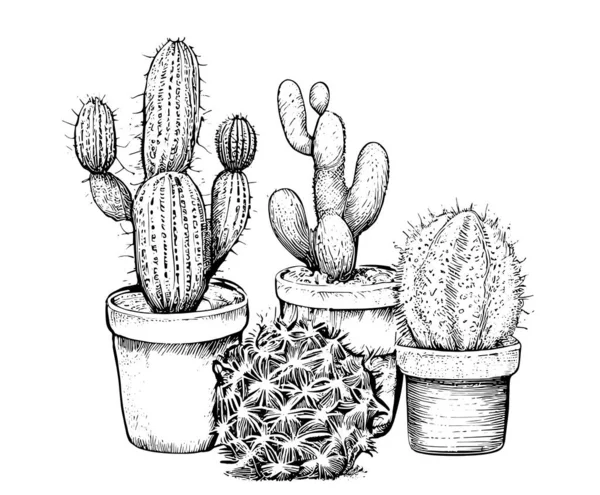Cactus Pattern Hand Drawn Sketch Engraving Style Vector Illustration — Stock Vector