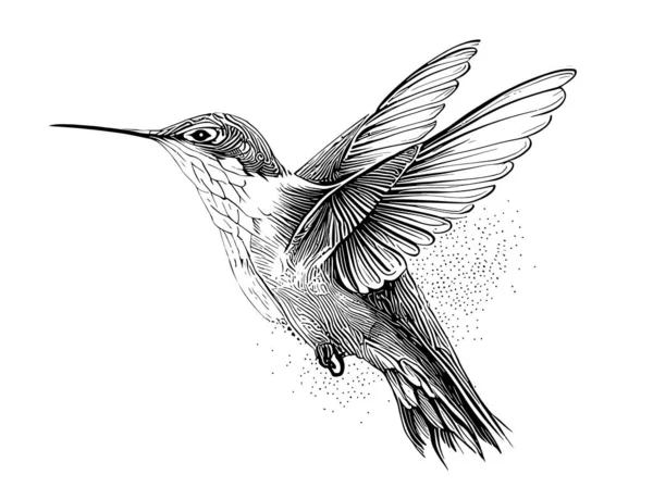 Kolibri Skizze Von Hand Gezeichnet Seitenansicht Stilvektorillustration — Stockvektor