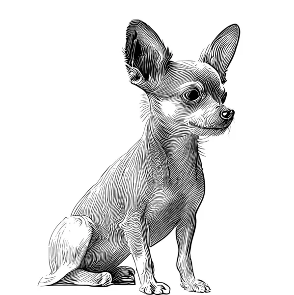 Desenho Cão Terrier Brinquedo Esboço Desenhado Mão Ilustração Vetor Estilo — Vetor de Stock