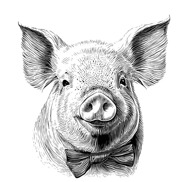 Retrato Cerdo Una Pajarita Boceto Dibujado Mano Grabado Estilo Boceto — Archivo Imágenes Vectoriales