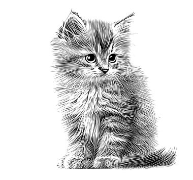 Küçük pofuduk kedi yavrusu çizimi elle oyulmuş stil Vektör illüstrasyonu..