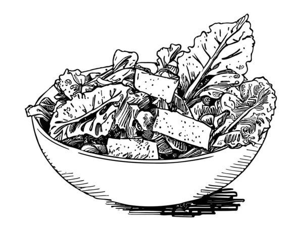 Salade César Poulet Croquis Gravé Main Restaurant Concept Entreprise Illustration — Image vectorielle