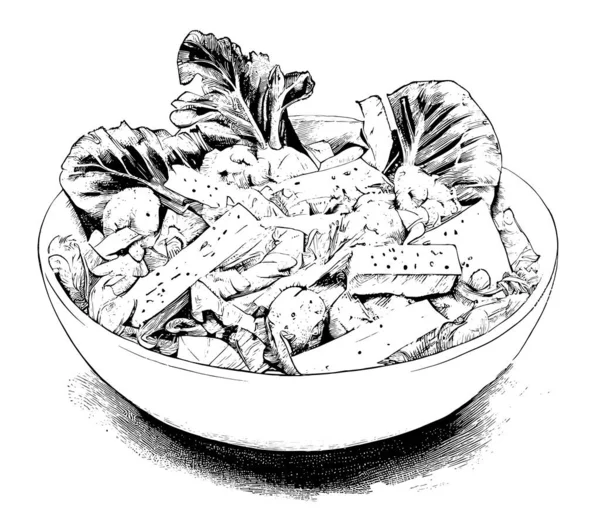 Salada Com Frango Queijo Esboço Desenhado Mão Comida Latino Americana — Vetor de Stock