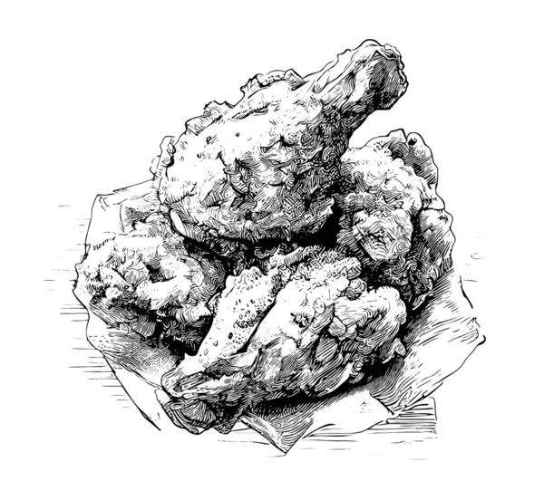 Breaded Smažené Kuřecí Náčrtek Ručně Kreslené Jídlo Restaurace Obchodní Koncepce — Stockový vektor