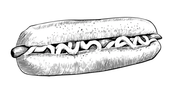 Hot Dog Lezat Tangan Digambar Sketsa Makanan Restoran Konsep Bisnis - Stok Vektor