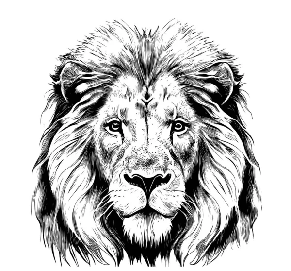 ライオンの肖像ライオン頭スケッチ手描き彫刻スタイル野生動物ベクトルイラスト — ストックベクタ